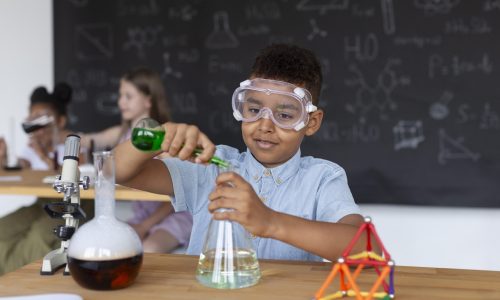 Grade 12 Physical Science